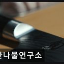 미경전통식문화연구소 | 둔산동 퓨전 한정식 산나물연구소 신선한 재료와 정성 가득