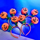 청원태권도장 이미지