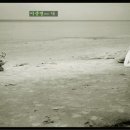 풍차다방 이미지