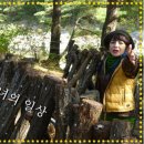 산초와 초피 구별 이미지