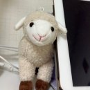 이영목장 | [강릉 여행] 살면서 처음 간 <대관령 양떼목장> 방문한 2일차 <강릉 초당콩 감자탕>과 <그리우니> 방문...