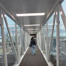 2025.10.17. 호텔 에어시티 제주 - 렌터카 반납 – 셔틀버스 - 제주 공항 – 김포 공항 이미지