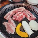거북이동네창원 이미지