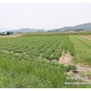 둘이농장 이미지