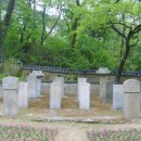 과천초등학교 정문 앞 이미지