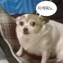 하이벨피아노음악학원 | 박자감 없어도 괜찮아! 광진구 구의역 3분거리 (시운랩 실용음악학원) 직장인 드럼 취미반♥