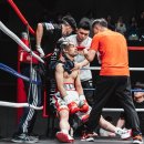 머스트윈 복싱 이미지