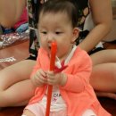 한솔낚시 이미지