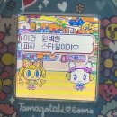 컬러바이조 | W10. 워킹 결혼 준비 | 대구 아이폰 스냅 추천 | 클래식바이현 계약 후기 | 내돈내산