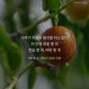 오늘463