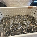 미니양꼬치 | 안산역 맛집 800원 꼬치의 위엄 | 미니양꼬치 안산점