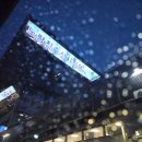 퇴근길도매수산 | 노량진 해산물 백합 가리비 석화 조개찜 후기 태성수산