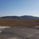 천도공원 이미지