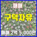 구덕공인중개사사무소 이미지