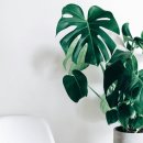 중앙실내인테리어 이미지