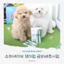 세이브슈퍼 | 강아지간식 면역 챙기는 슈퍼세이브 댕이럽 곰보배추시럽 후기