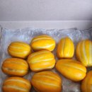 후니아이 | 집에서 즐긴 달콤한 과일, 후니s마켓 참외 후기