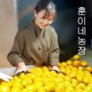 훈이네 농장 이미지