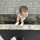 산유장 | [일상 Blog] 내가 뭘 먹고있냐면... (내돈내산 데일리파이토 후기)