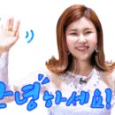 젤리피쉬팬션