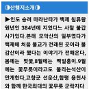 ●9월 초가집산악회 정기산행● 이미지