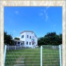 강아지 보호센터 이미지