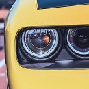 (주)라니휘트니스 | 으랏차차! 인생 2막 준비하려 헬스장 투어 돌았는데 인생 찐 PT 맛집 발견함 썰 풉니다