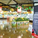 새운농장 이미지