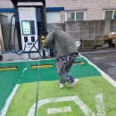 고려자동차공업사 이미지