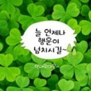 나비드라