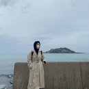 한지혜 카카오 검색결과