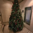 미즈컨테이너수성못점 이미지