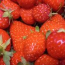 경화농장 이미지