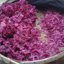 흙집 쉼 이미지