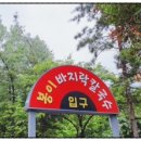 일산칼국수 이미지