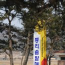 통리 솔밭해변 이미지
