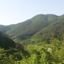 보리수농장 이미지