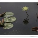 서일 농장 이미지