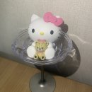 키 플레저샵 글라스버전 언박싱