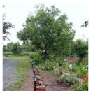 옛온천골 이미지