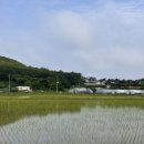 노루목 별장 이미지