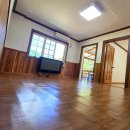 배내배내 이미지