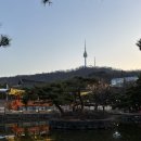 대청마루 2 | 기와 끝에 걸린 오후, 남산골 한옥 마을에서 찾은 느린 시간의 조각들