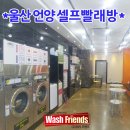 언양셀프