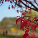 시월애호텔 | 대전여행 1박2일 코스 에어비앤비숙소 성심당 한밭수목원