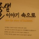 영월Y파크(술샘박물관) 이미지