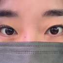 페브샵 이미지