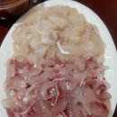 용원회센타 이미지