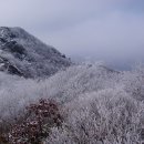 1월26일(일요당일)운장산/연석산 연계산헹 이미지