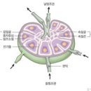 이민하에스테틱 네이버블로그